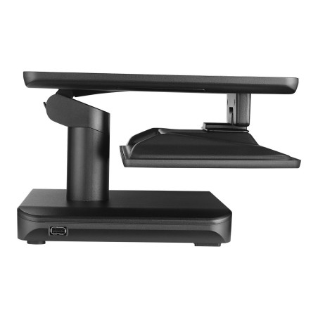 Capture Lionfish 15.6" POS System -